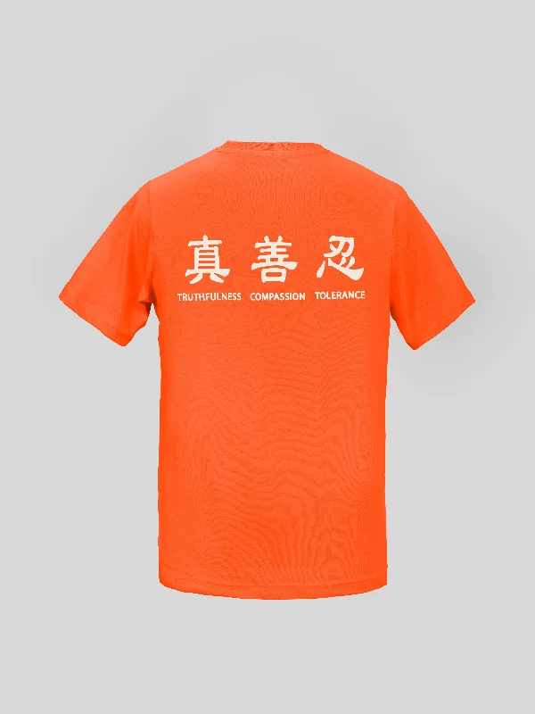 Sheer Women T Shirt for a Stylish and Alluring LookTruthfulness, Compassion, Tolerance T-Shirt 2021 Sheer Women T Shirt for a Stylish and Alluring LookTruthfulness, Compassion, Tolerance T-Shirt 2021