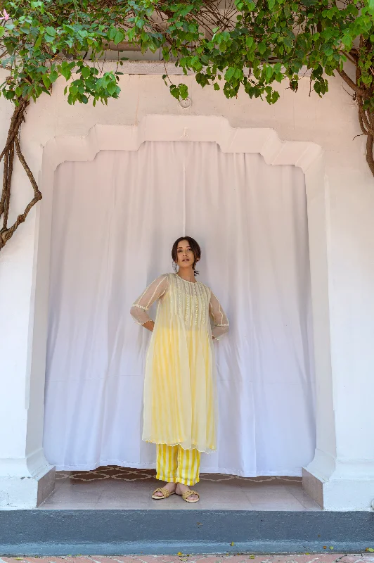 Plus Size Women Dress with a Flattering A - Line Cut for Comfort and Style Plus Size Women Dress with a Flattering A - Line Cut for Comfort and Style Box pleated hand embroidered silk organza dress with stripes spaghetti lining Plus Size Women Dress with a Flattering A - Line Cut for Comfort and Style Plus Size Women Dress with a Flattering A - Line Cut for Comfort and Style Box pleated hand embroidered silk organza dress with stripes spaghetti lining