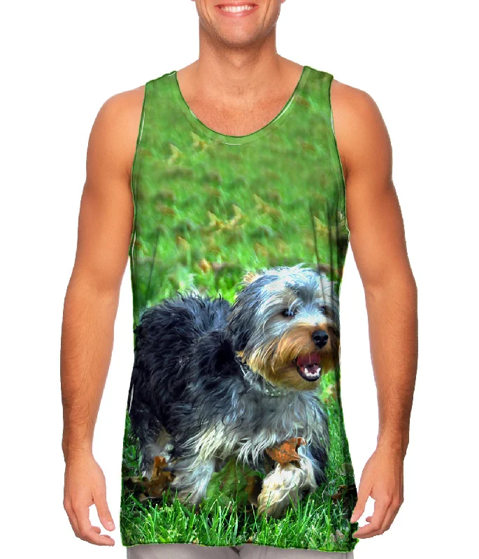 Women's Button - Down Tank Tops in Striped PatternsCurly Haired Yorkie Running
